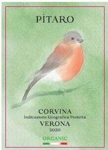 Pitaro